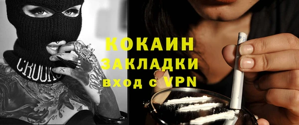 PSILOCYBIN Горно-Алтайск