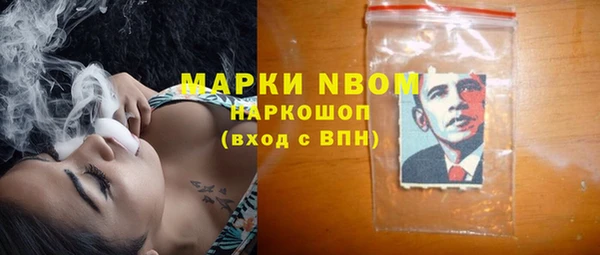 PSILOCYBIN Горно-Алтайск