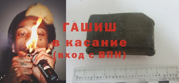 шишки Гусь-Хрустальный