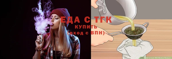 шишки Гусь-Хрустальный