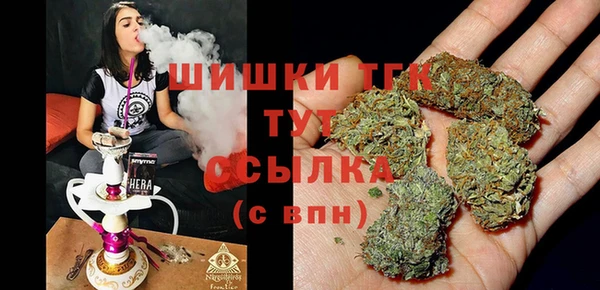 PSILOCYBIN Горно-Алтайск